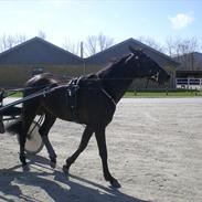 Traver Scirocco Sisa