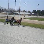 Traver Scirocco Sisa