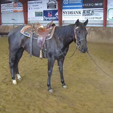 Quarter India Upon A Star