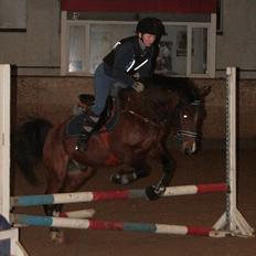 Anden særlig race Storm SOLGT