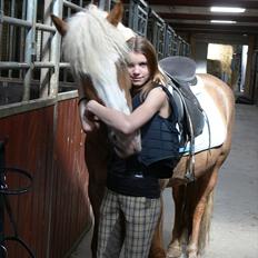 Haflinger Alladin Hestbjerggaard <3
