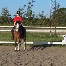 Anden særlig race Blanding - Aladdin <3