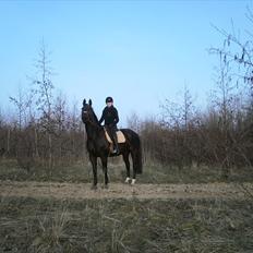 Anden særlig race Pepita