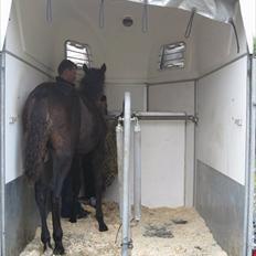 Traver Macy (aflivet)