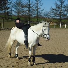 Anden særlig race Poplite<3