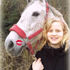 New Forest Marrondales Opasia [himmelhest]<3