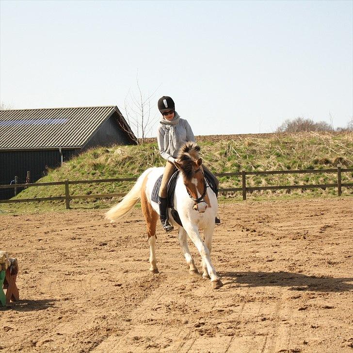 Anden særlig race *Tea's Baby Dolly* billede 13