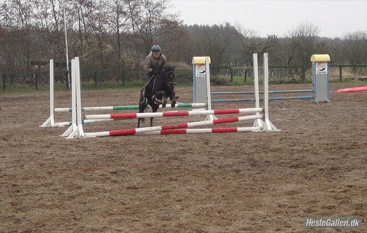 DSP Lisse <3  billede 8