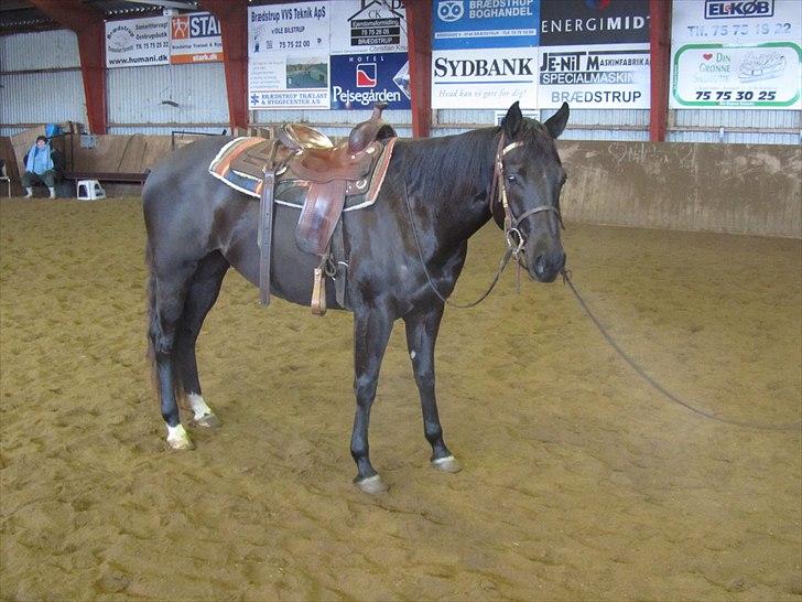 Quarter India Upon A Star billede 1