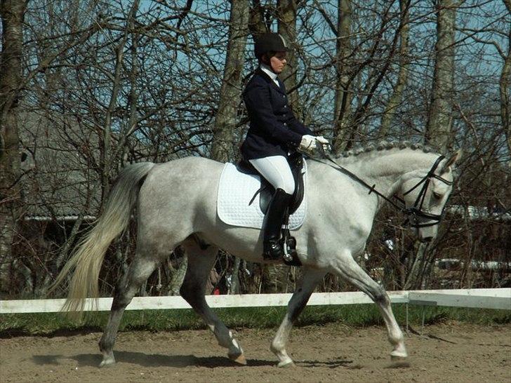 Anden særlig race El Gizmo - Farsø d. 9/4-11 Godt på vej  billede 7