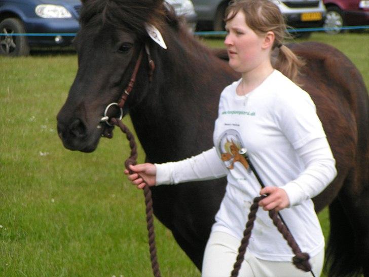 Islænder Nanna fra Sjørslev billede 11