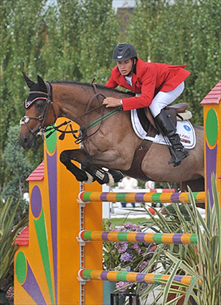 Belgisk Sportspony Magic Ball A-Pony billede 13