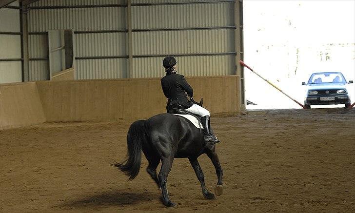 Oldenborg Max  - Stævne  billede 4