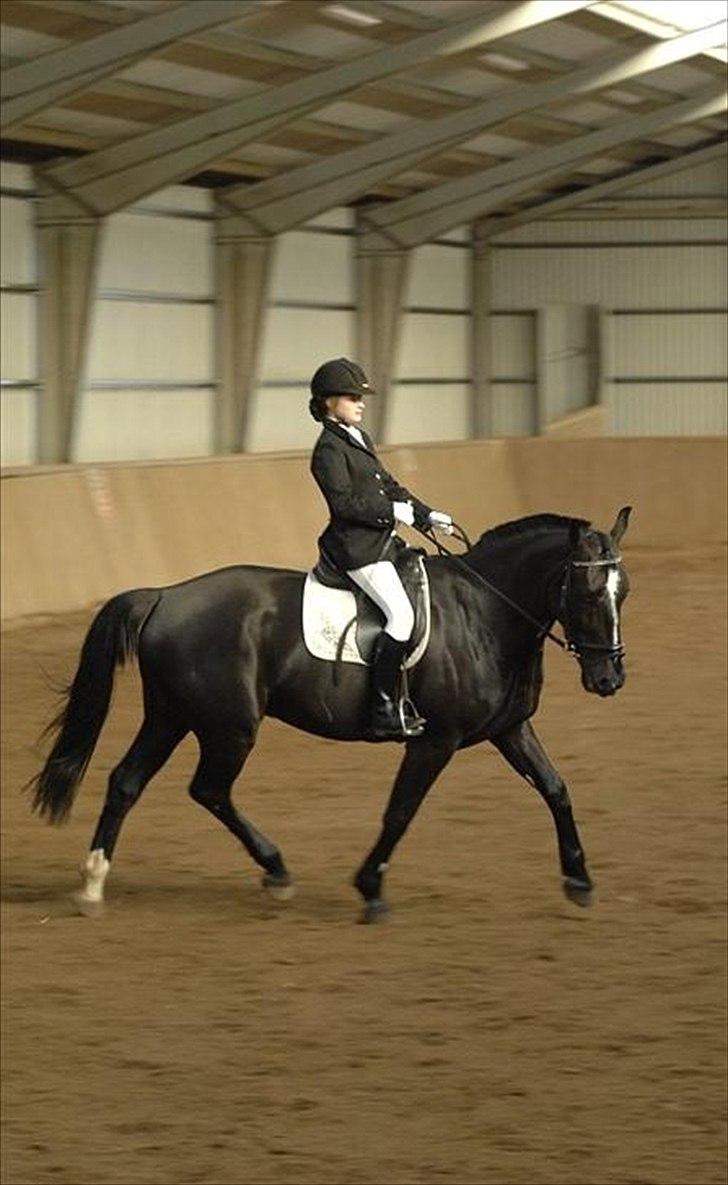 Oldenborg Max  - Stævne  billede 5