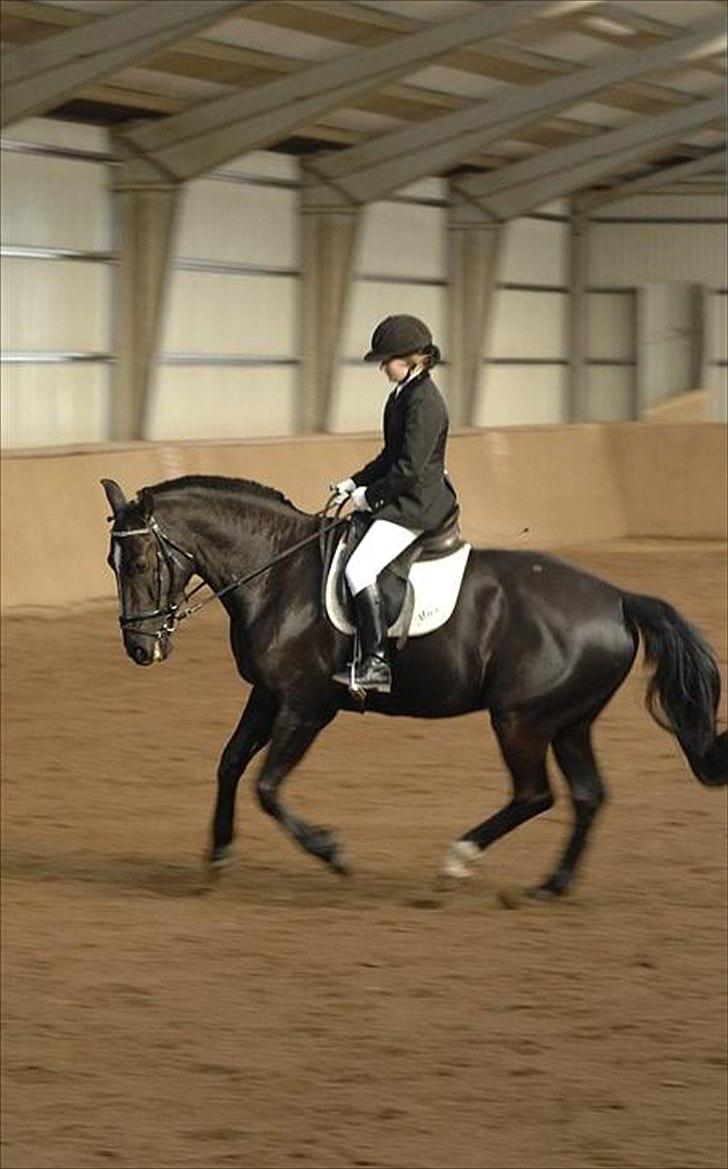 Oldenborg Max  - Stævne
 billede 6