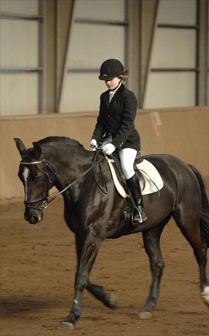 Oldenborg Max  - stævne billede 7