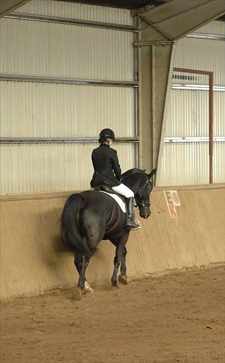 Oldenborg Max  - Stævne  billede 8