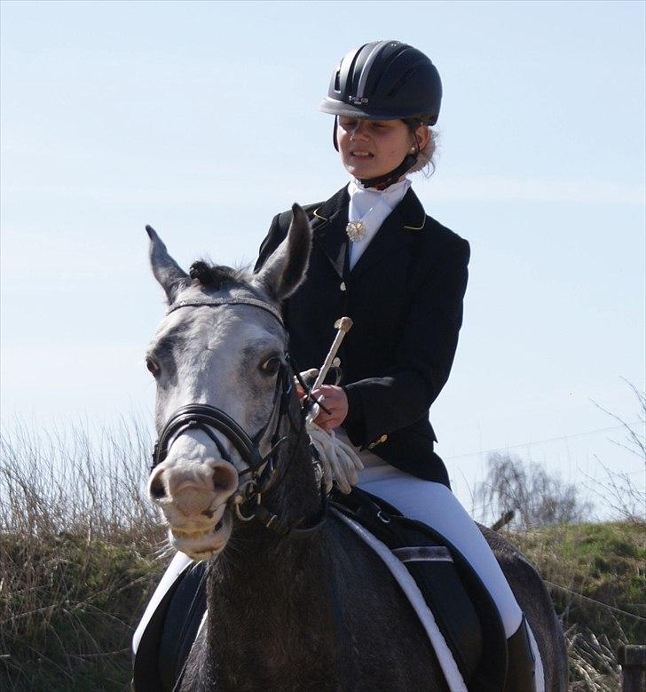 Sportsaraber (A) Gomez billede 9