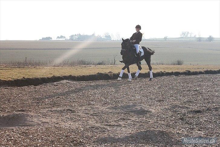 Anden særlig race Miss Money Penny (Sorte) - du vil gå igennem alt med mig <3  billede 6