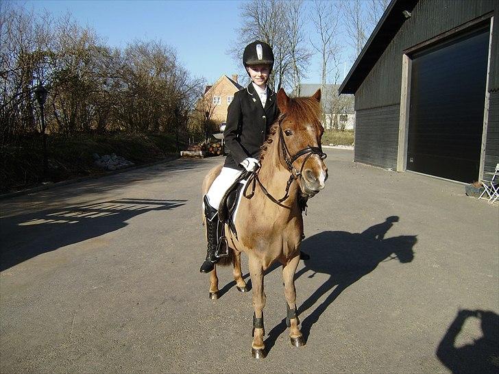 Anden særlig race Lucas - Grejs Rideklubs forårsstævne april 2011 billede 10