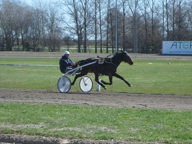 Traver SP - Flyvemaskinen ;) billede 1