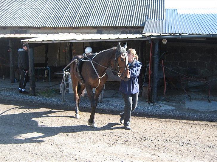 Traver SP - Opvarmingen tager vi bare i langvogn ;) billede 5