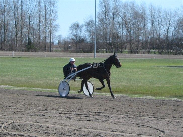 Traver SP - Så hyggeligt at løbe her <3 billede 8