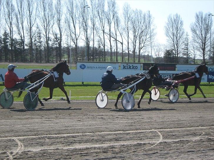 Traver SP - Starten gik for babyerne billede 9