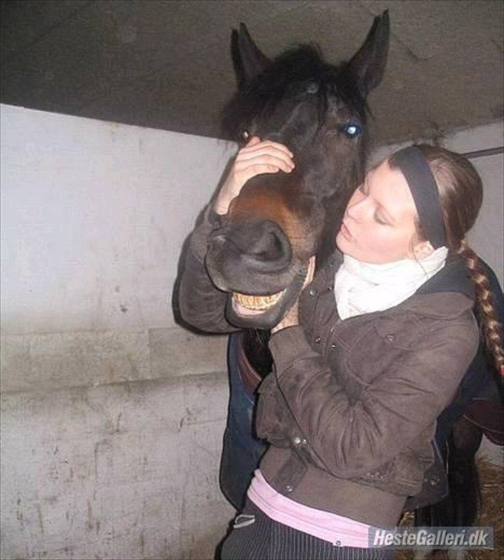 Oldenborg Pedro - <3 billede 12