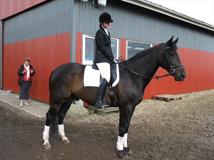 Anden særlig race Capt. Morgan - Vilhelmsminde 2010 billede 7