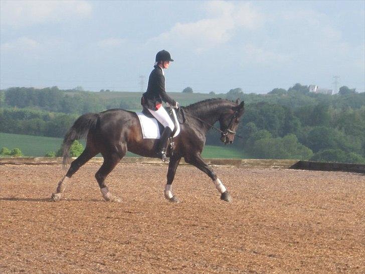 Anden særlig race Capt. Morgan - Vilhelmsminde 2010 billede 8