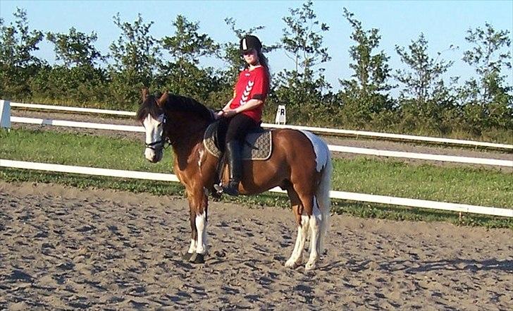 Anden særlig race Blanding - Aladdin <3 - hvem siger jeg ikke er god til at stå stille? xD billede 2