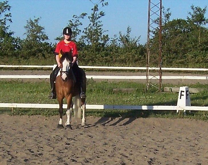 Anden særlig race Blanding - Aladdin <3 - puha sofie´s mor er farlig xO billede 3