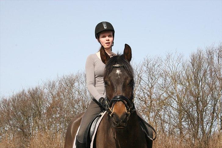 New Forest Holmens Kazai billede 8