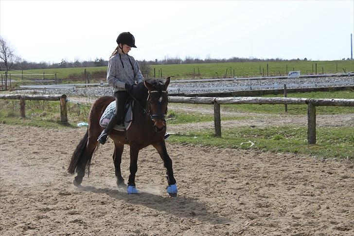 Anden særlig race Nemo - Åh ved ikke helt hvad vi lige laver ;) billede 6