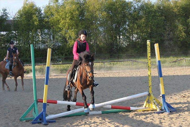 Anden særlig race Nemo - Fine Nemo :D billede 7