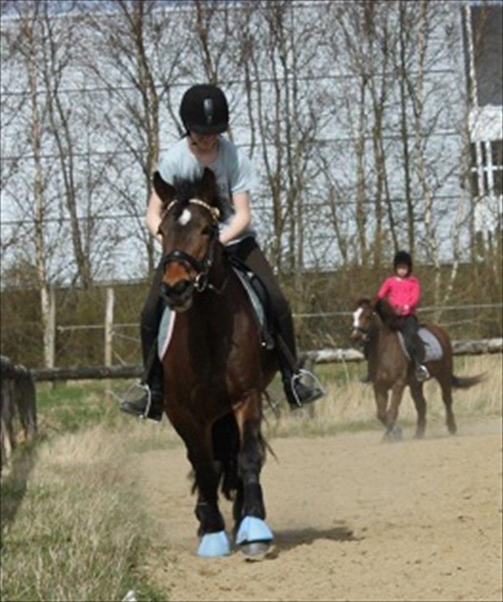 Anden særlig race Nemo - :D billede 10