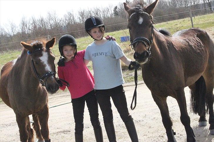 Anden særlig race Nemo - Fra venstre Buster, Sara, Hanna(mig) og Nemo :D billede 12