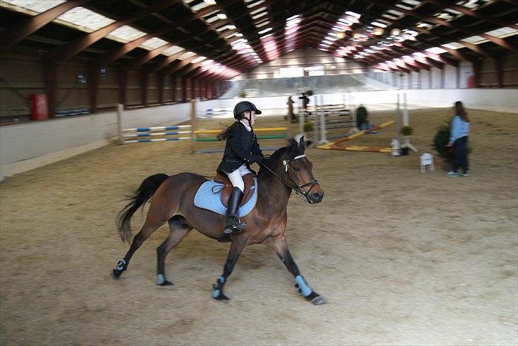 Anden særlig race Walther billede 16