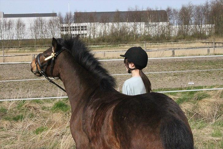 Anden særlig race Nemo - Ved ikke lige hvad han laver ;) billede 16