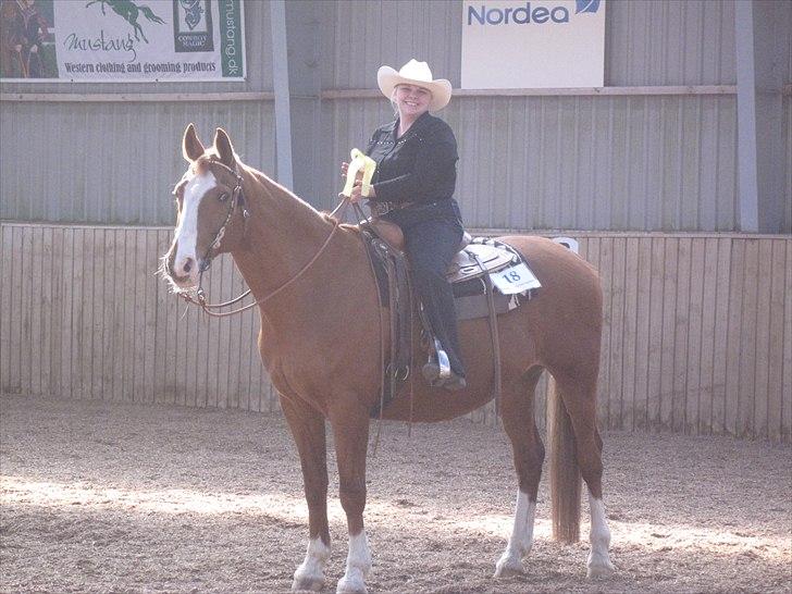 Dansk Varmblod Balou Vibeland - Roset nr. 2 billede 12