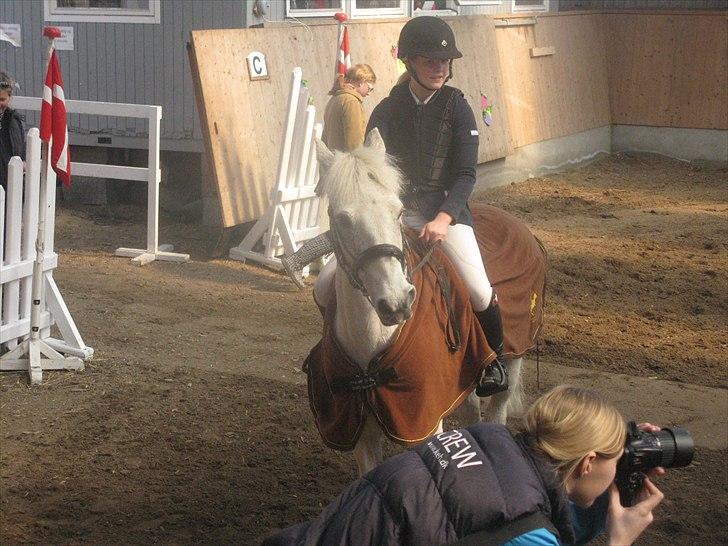 Anden særlig race BOBBY - Vinder MB** 2011 landsstævne AAGS billede 16