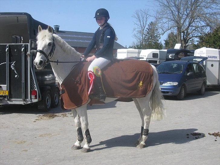 Anden særlig race BOBBY - Landsstævne MB** 2011. billede 17