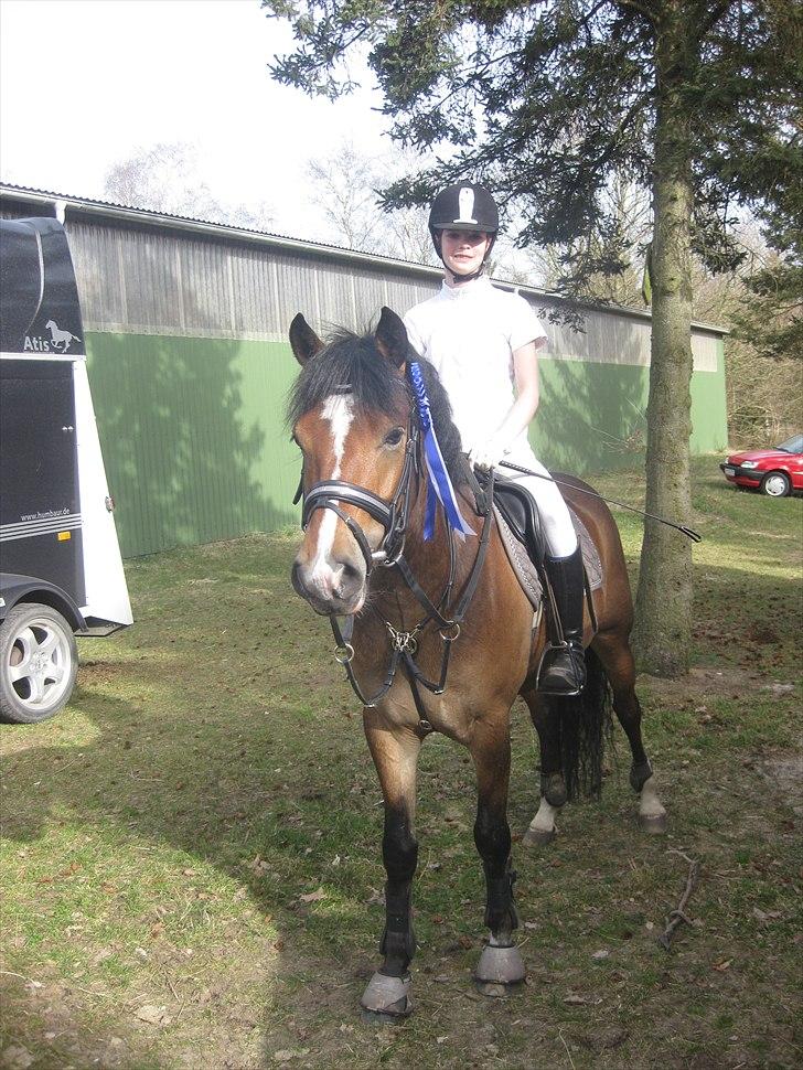 Anden særlig race Gyrupgaards Bailey B PONY - Lille b og Emilie med en anden plads i LD:) billede 17