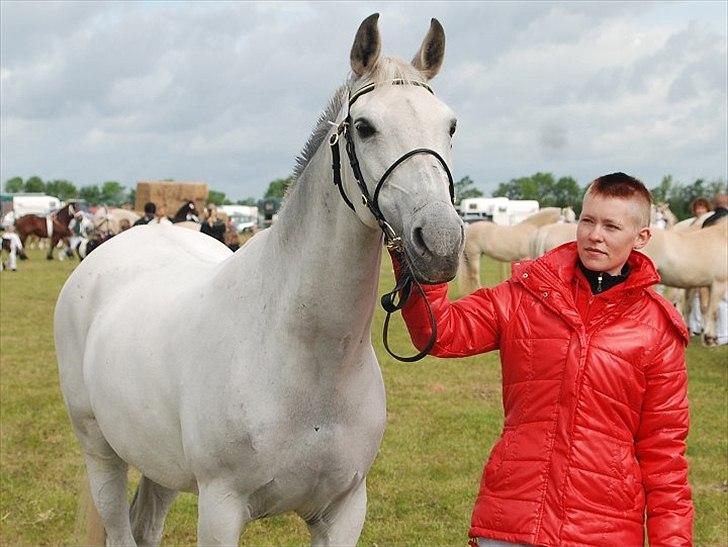 Shagya Araber (SH) Bonjour la chaise *R.I.P. 06-11-12* - Vous êtes si belle <3(Fransk) 
Foto: Joan Krag billede 14