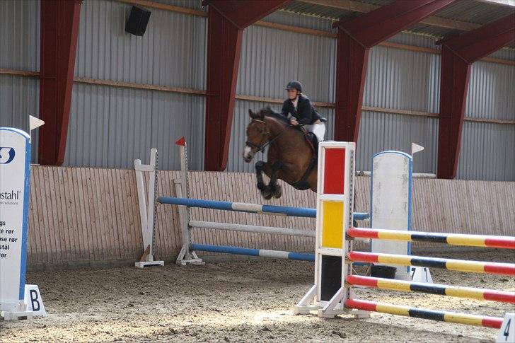 Dansk Varmblod Cias Moonlight - Distriktsstævne i Hylke den 9 april 2011 - ULB* Foto: Mille  billede 15