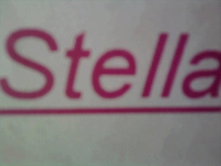 Fjordhest Stella<3 (Part)  - Stella <3 billede 11