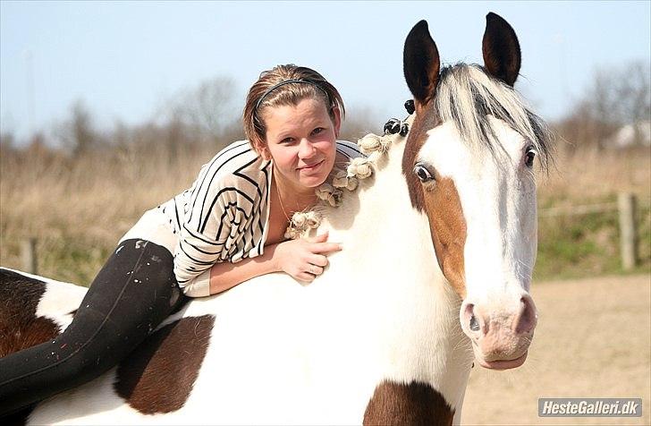 Pinto Stald Poppels Dixie R.I.P - Den sidste dag :´( billede 11