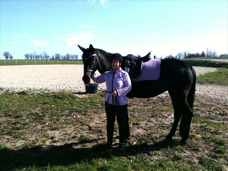 Tysk Oldenburger DUNJA - Himmelhest billede 12