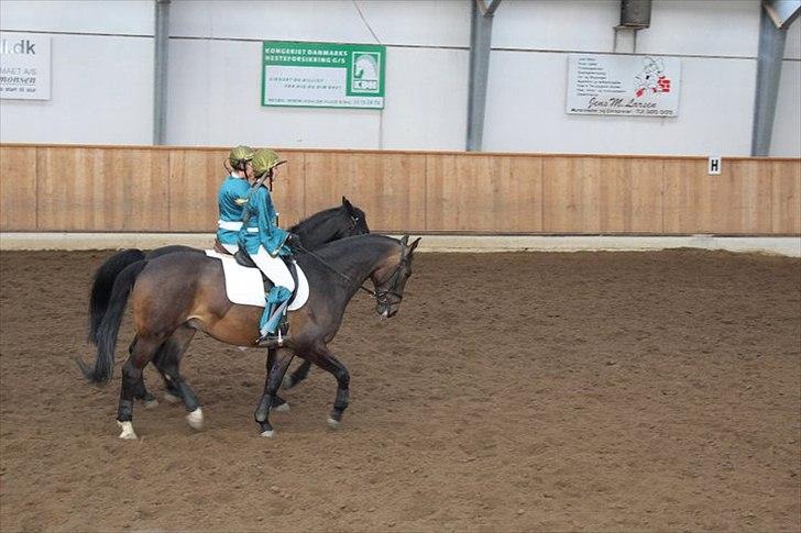 Anden særlig race Platinico - Tidl. PASSER - Annette og Nico til kvadrilje :) Taget af: Bettina Westh billede 9